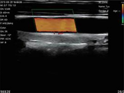 WhatsApp Image 2026-01-13 at 18.57.13