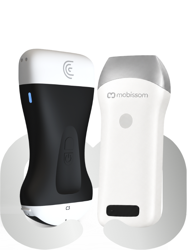 Combo C3 + M2HD S